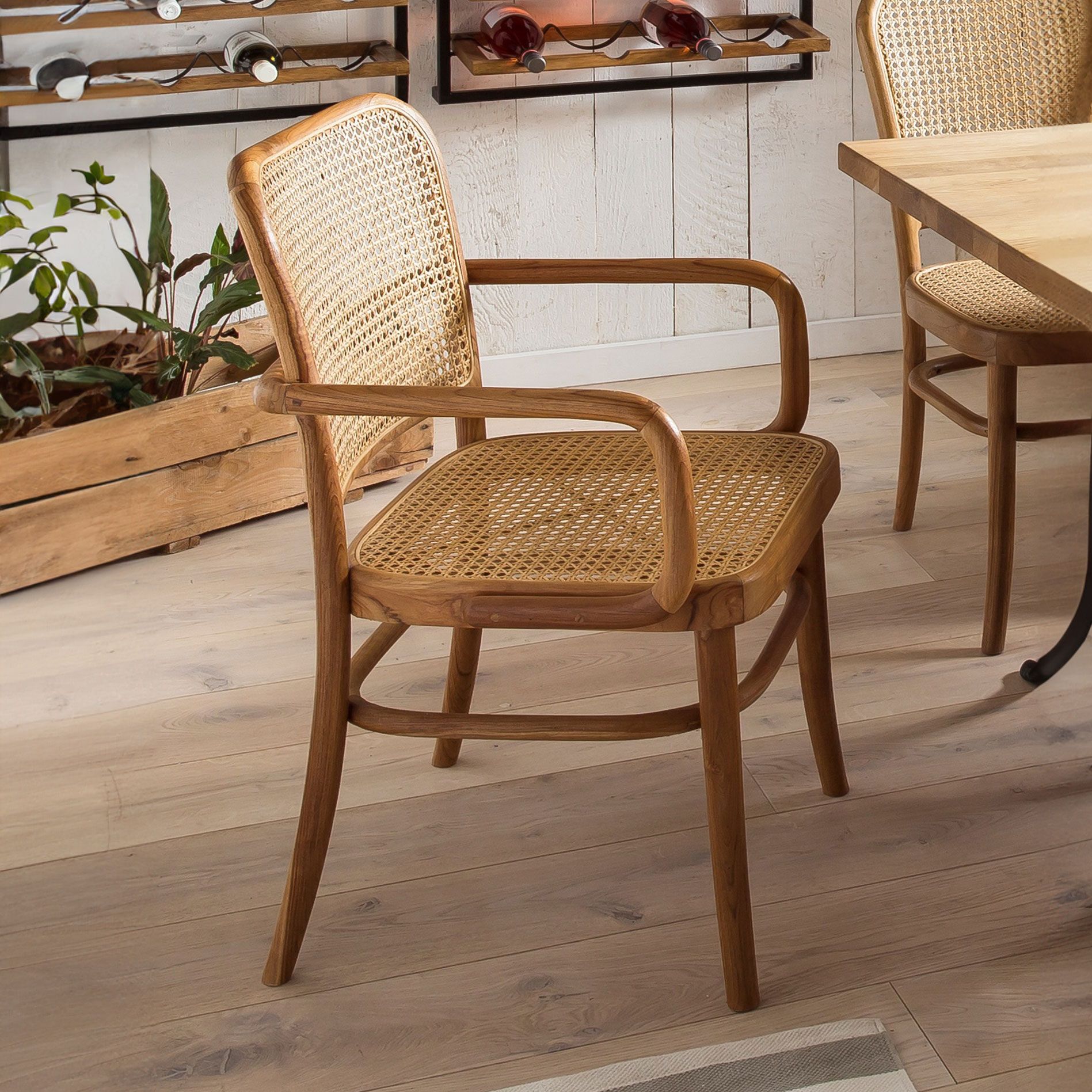 Artistiq Takeshia eetkamerstoel met armleuning – teak & rotan, luxueus en duurzaam