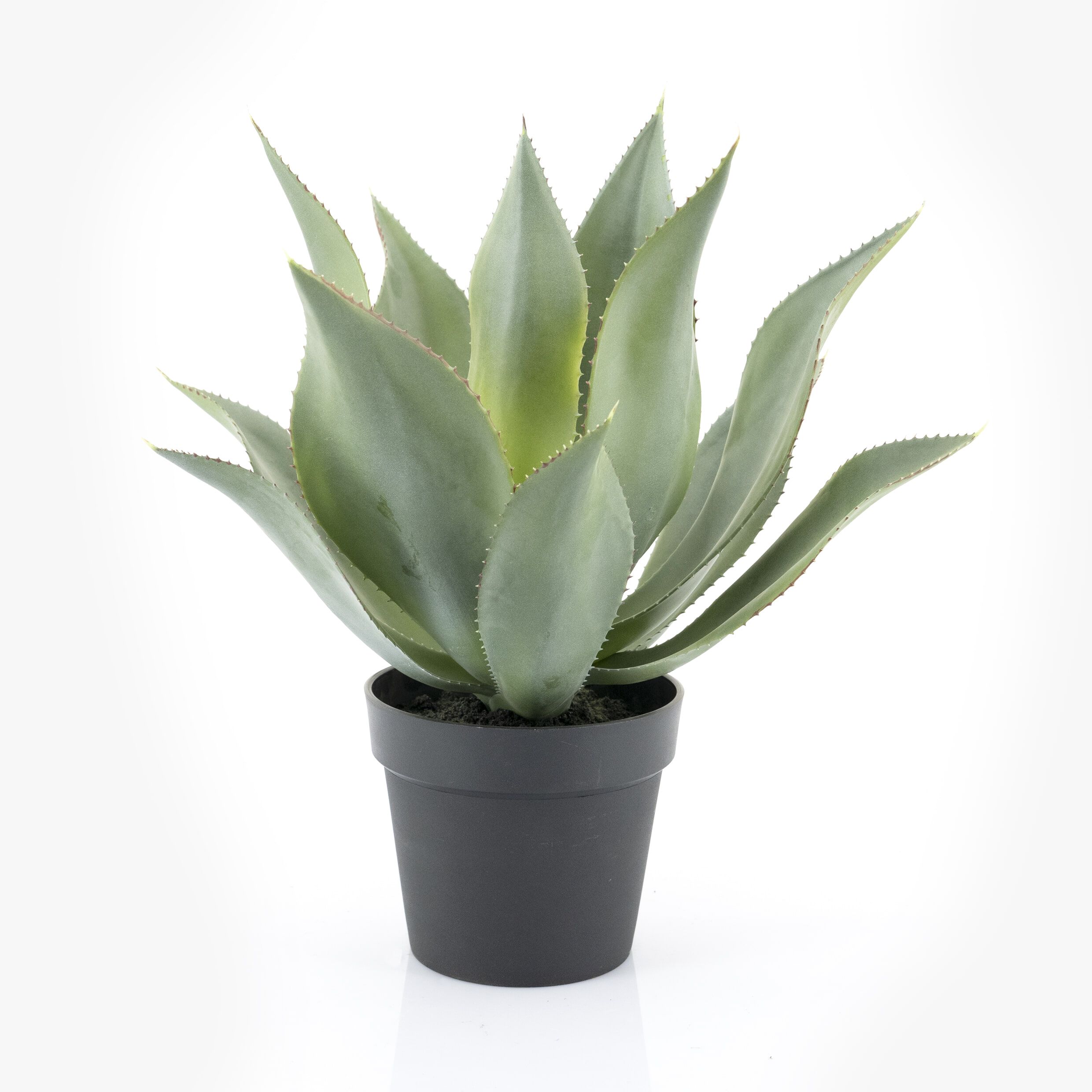 By‑Boo Kunstplant Agave – Levende look zonder onderhoud