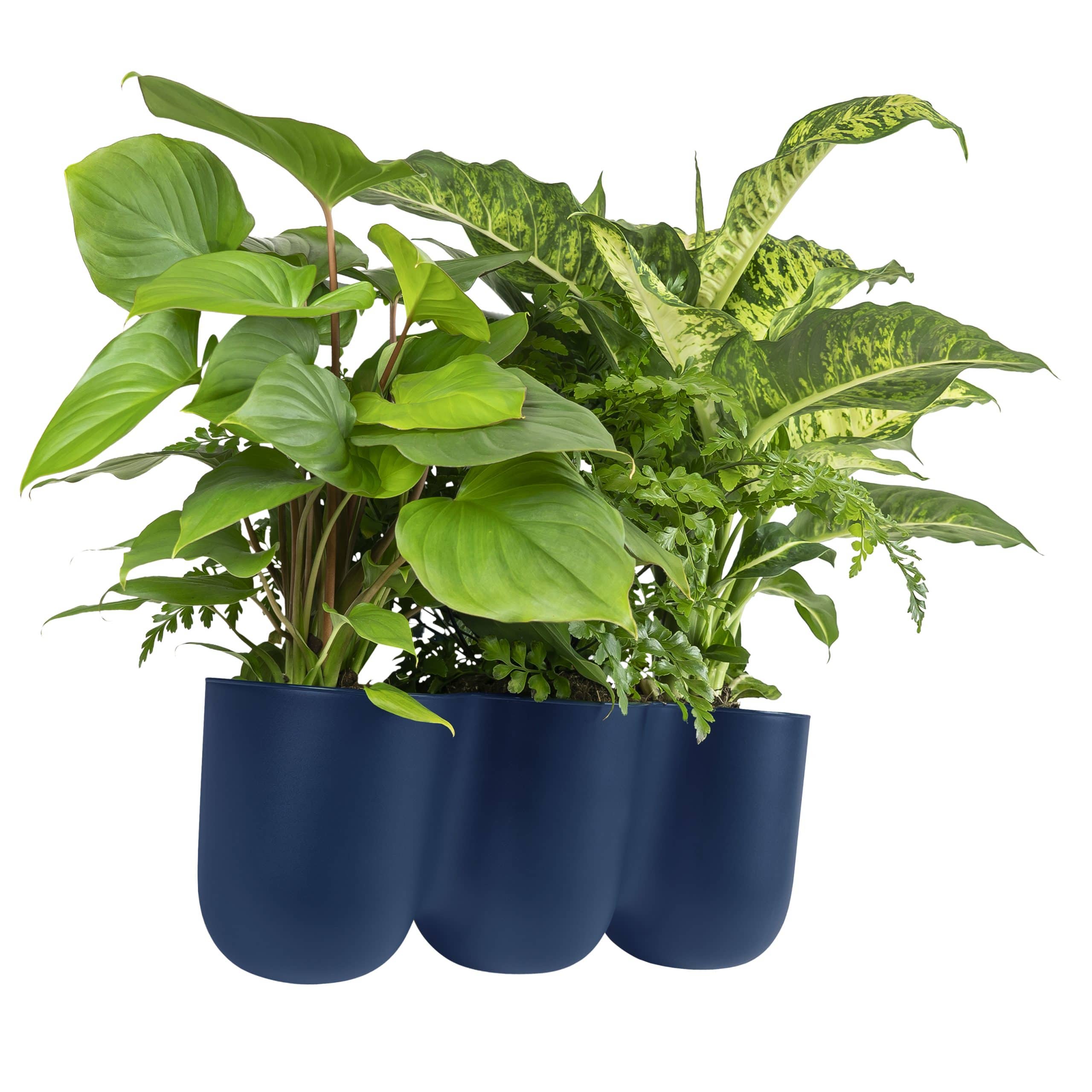 Donkerblauwe QUVIO wandbloempot trio – 15 × 43,5 cm voor binnen en buiten