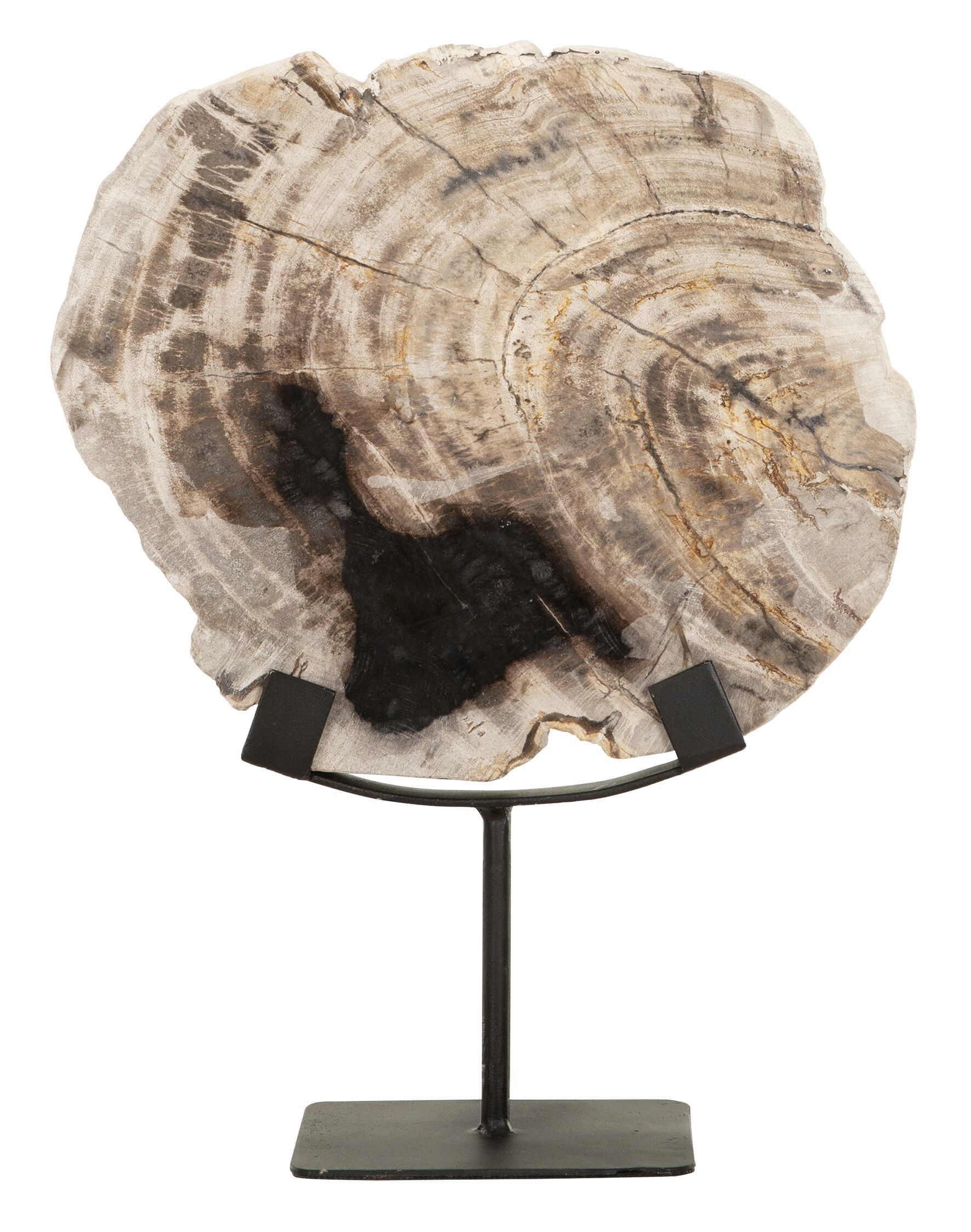 Elegant Fossiel Ornament van Versteend Hout – Beige, 33 cm – MUST Living