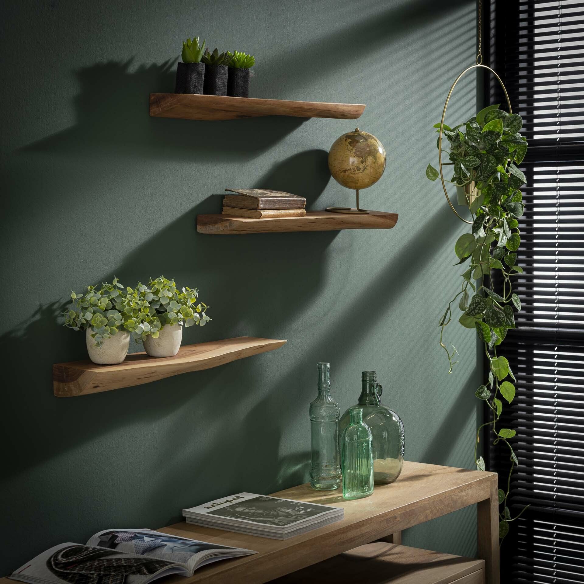 Erica Boomstam Wandplank Set – 3 massieve acacia planken voor een warm, natuurlijk interieur