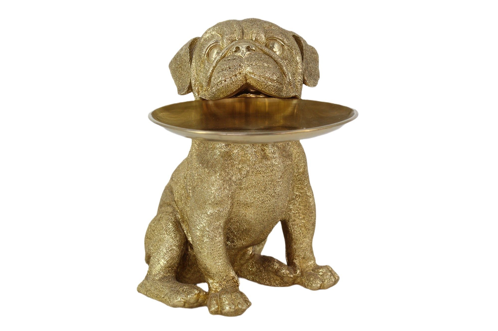 Goudkleurig bulldogbeeldje met spaarpot en opbergvak – stijlvolle veelzijdigheid van Invicta Interior