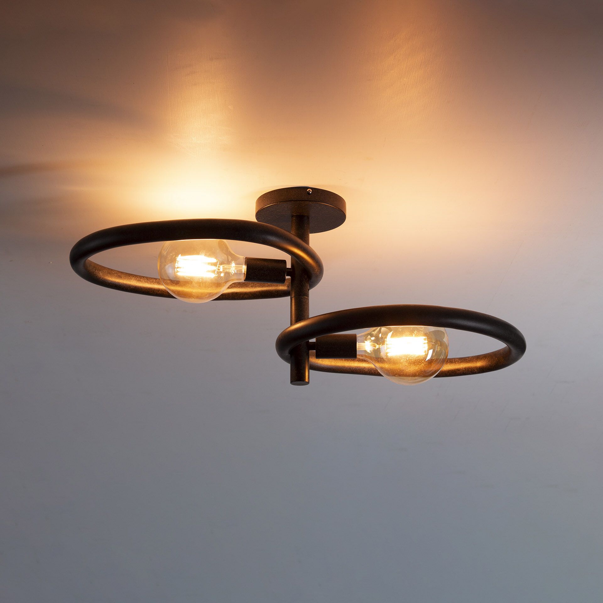 Joelle Artic Zwarte Plafondlamp – Modern 2‑Lamps Design met Organische Vormen