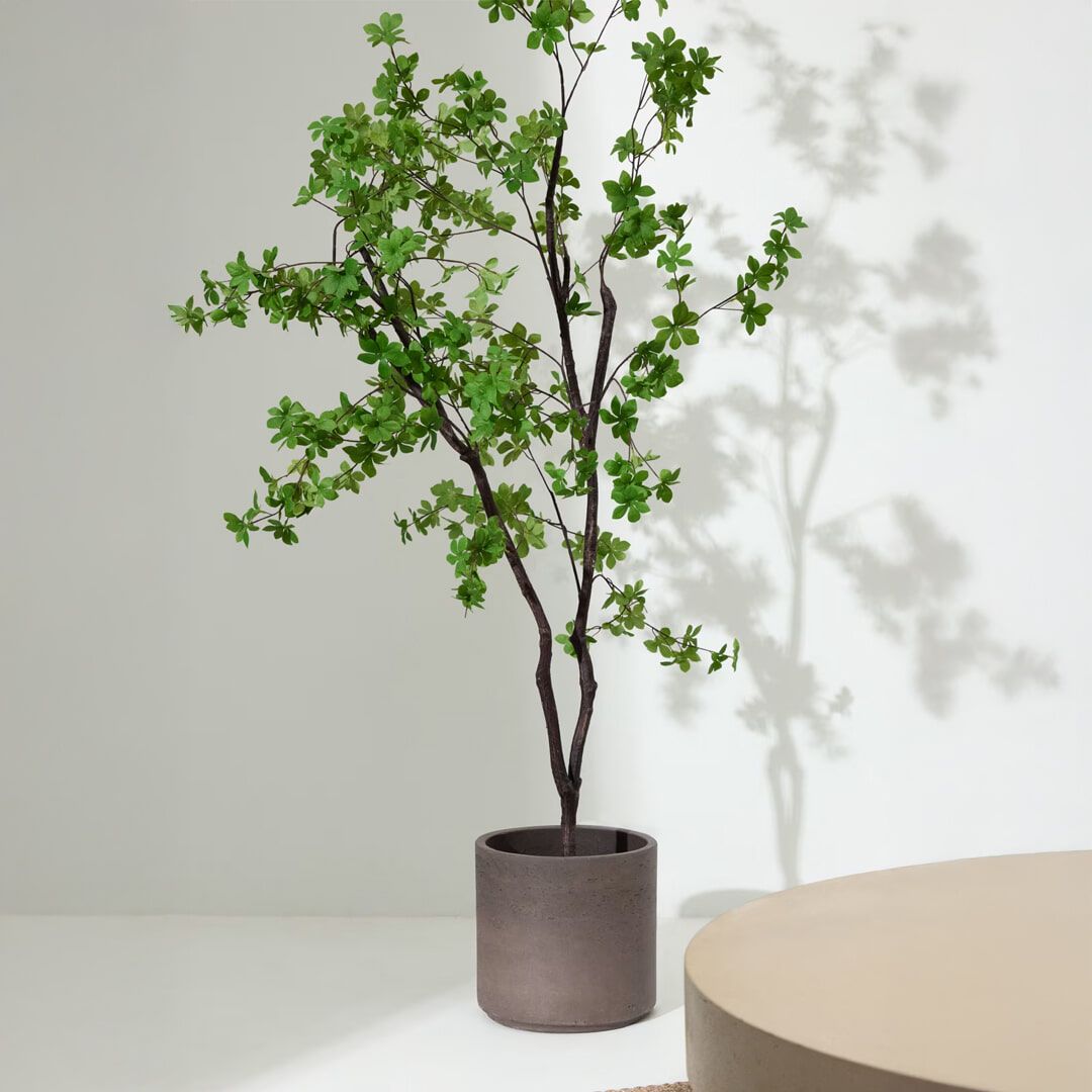 Kave Home Enkianthus Kunstplant 214 cm – Echt groen zonder onderhoud