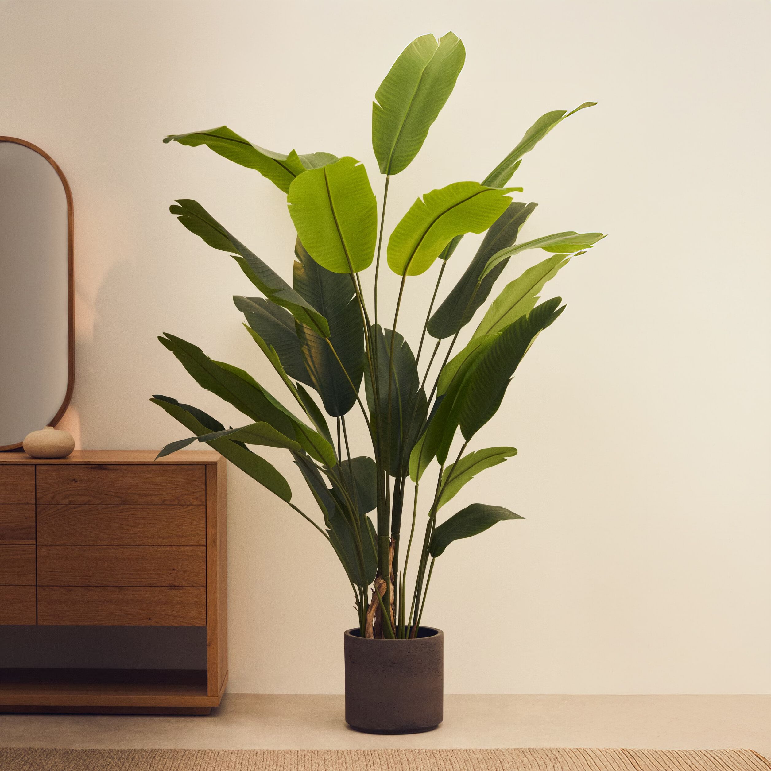 Kave Home Kunstplant Banano – Realistische Bananenboom van 210 cm