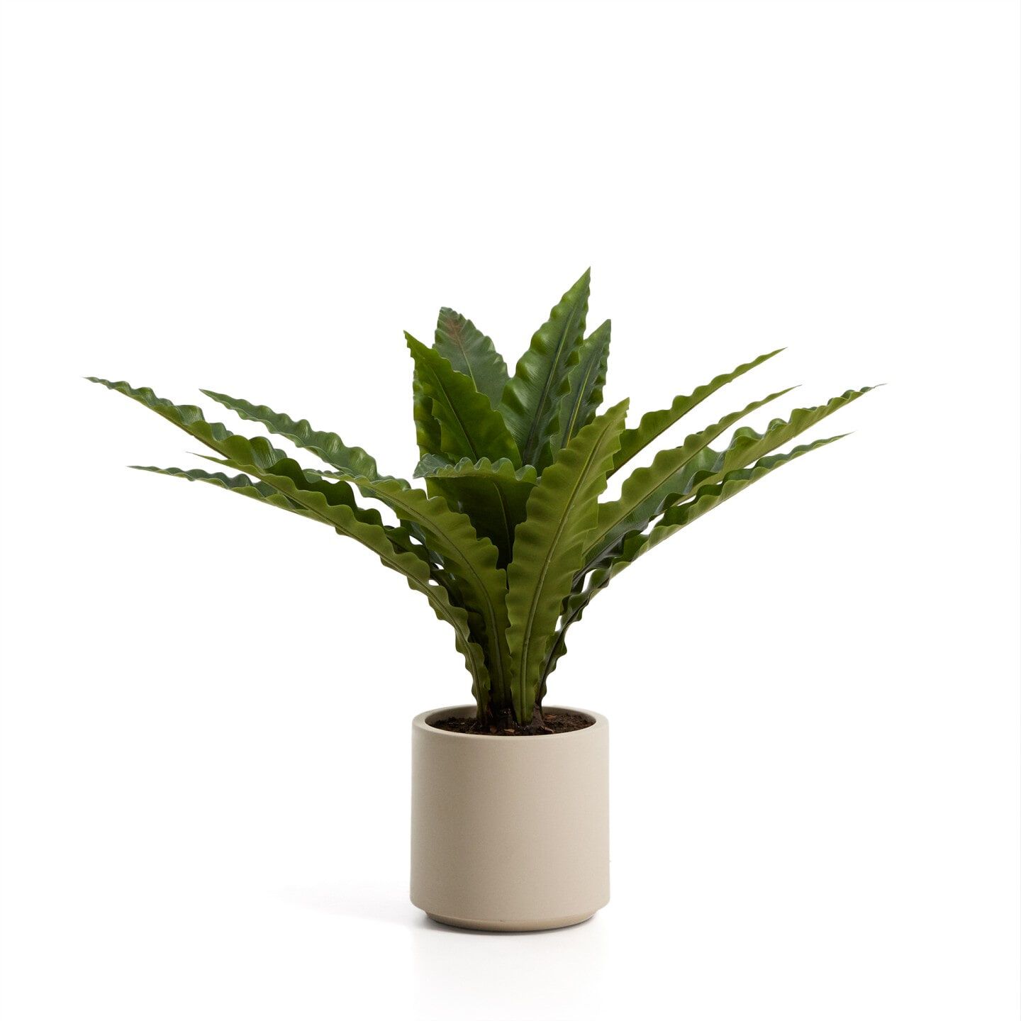 Kave Home kunstplant Neottopteris 70 cm – realistisch groen bladwonder voor elk interieur