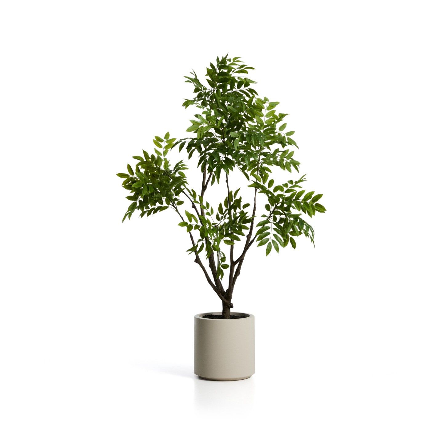 Kave Home Kunstplant Rhus – 185 cm groen met witte pot voor een levendige, onderhoudsvrije ruimte