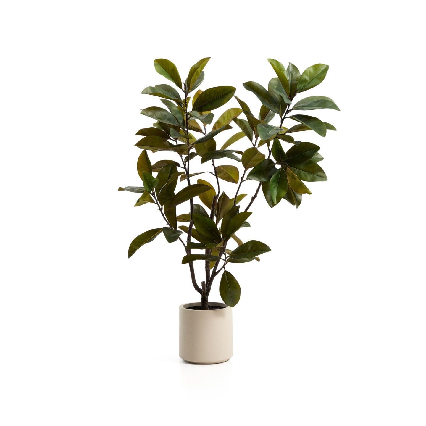 Kave Home Magnolia kunstplant 160 cm – Natuurlijke grootsheid in groen