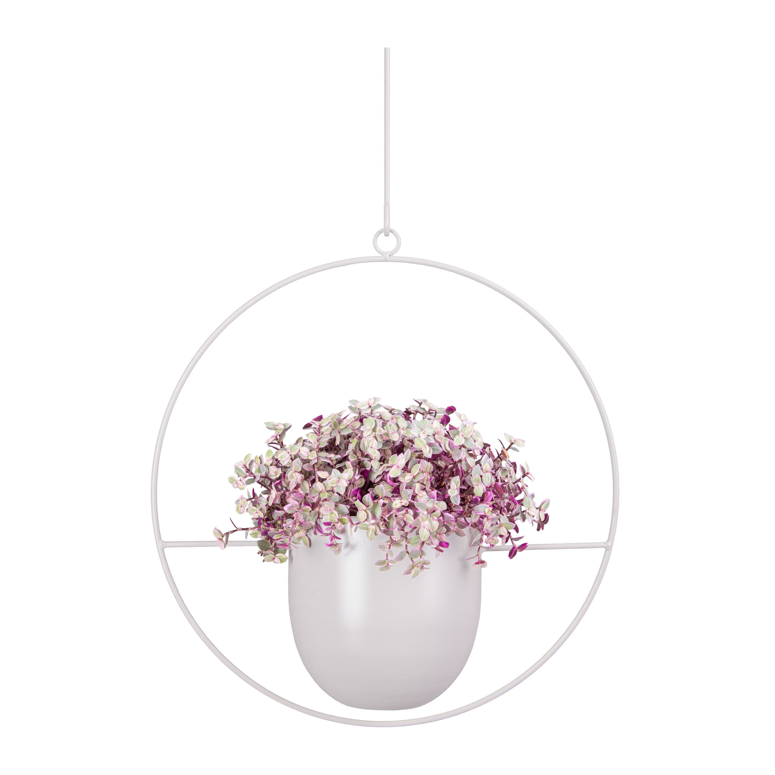 Lichtgrijze Hangende Bloempot QUVIO – Modern Design voor Binnen en Buiten