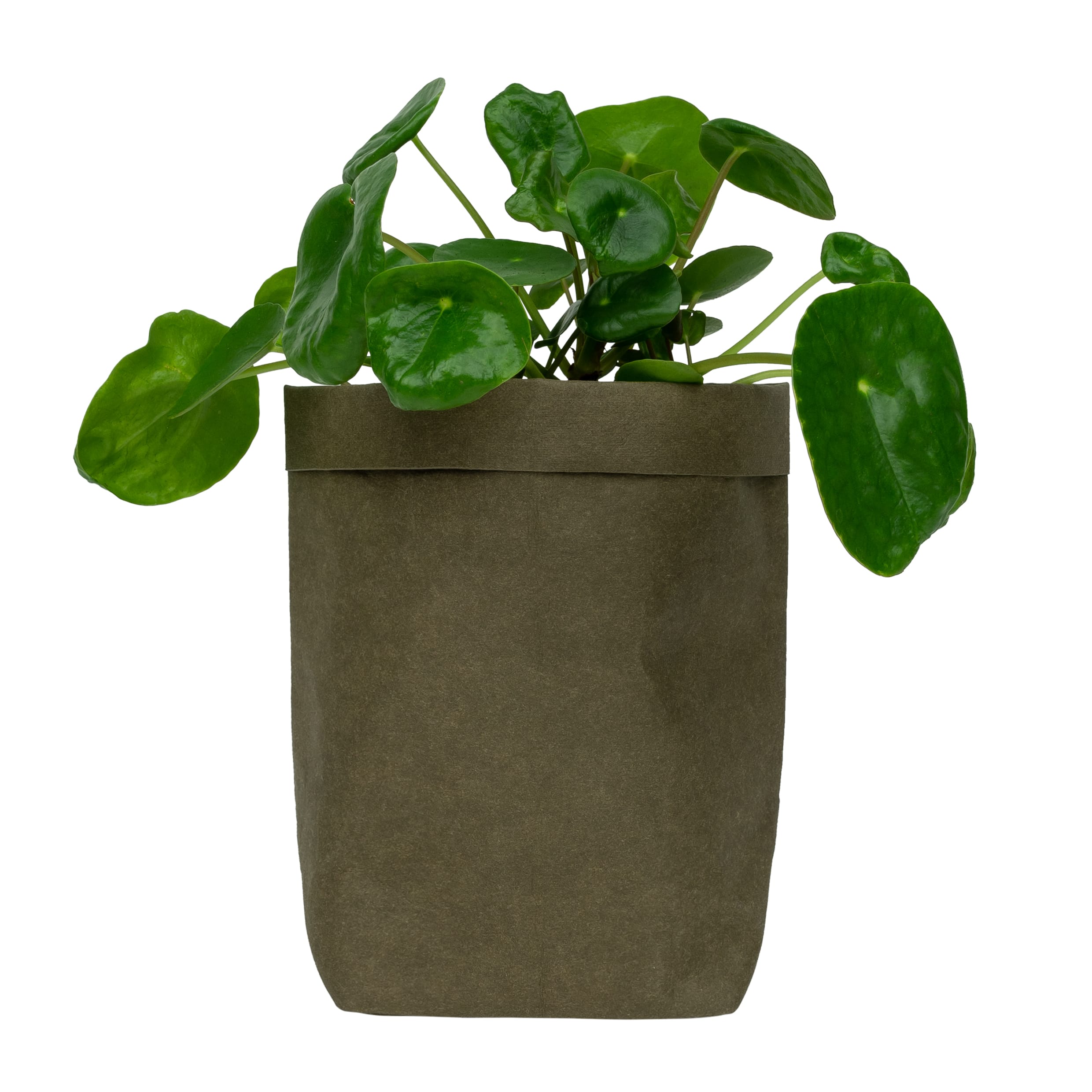 Q‑UVIO Donkergroene Kraftpapier Plantenzak – Compact & Stijlvol