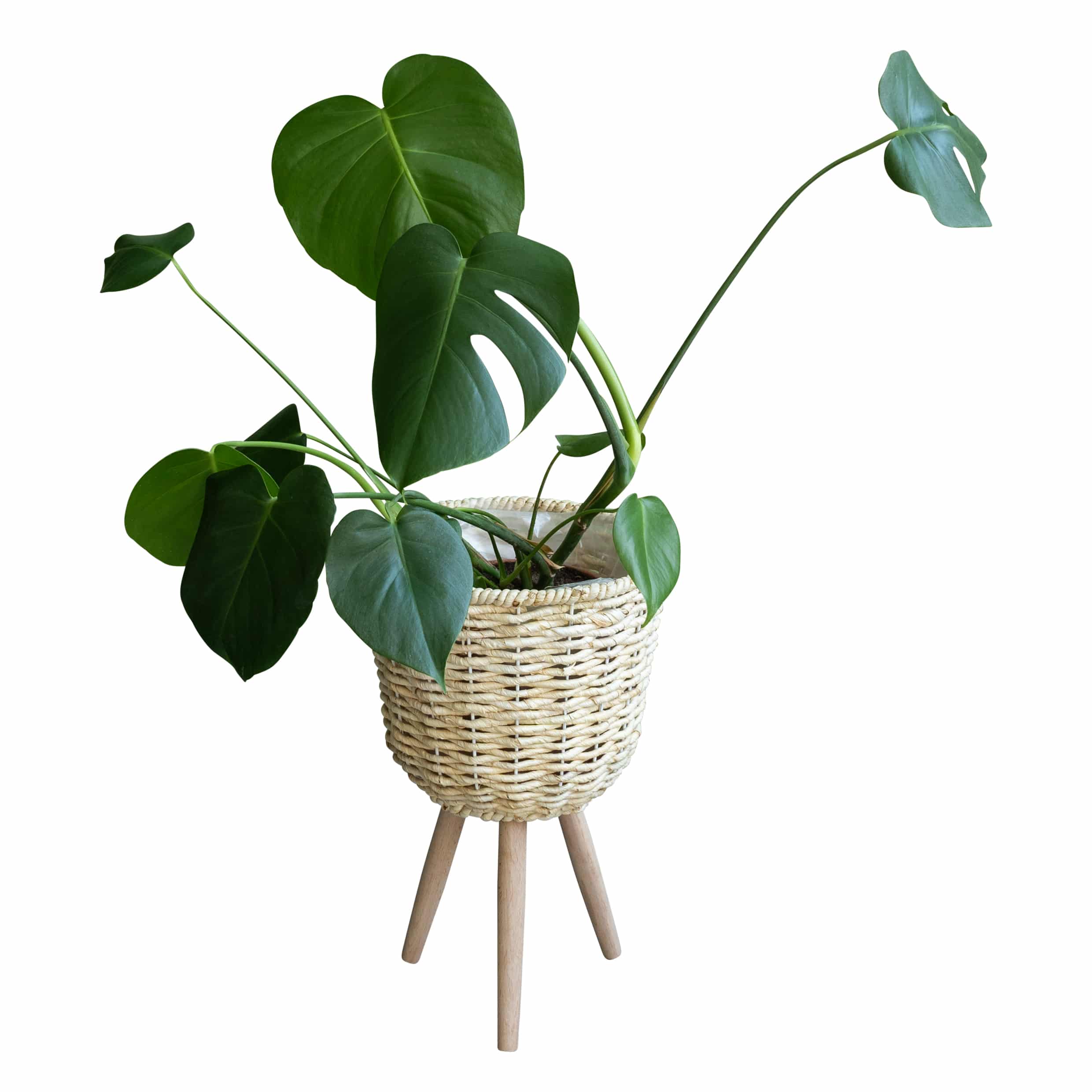 Q UVIO Plantenmand op houten driepoot – stijlvolle en functionele bloempot voor binnen en buiten