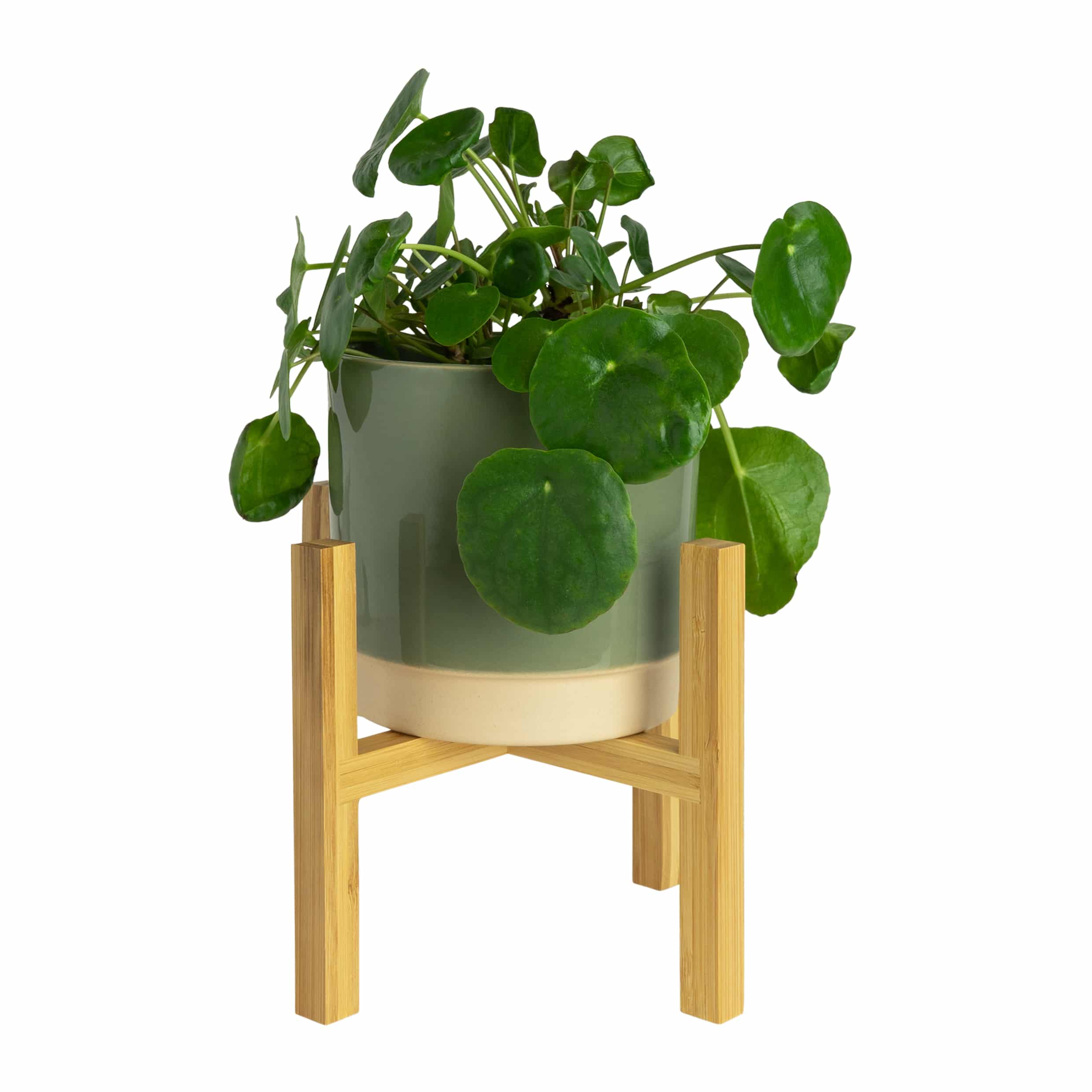 QUVIO Bamboe Bloempot Standaard 16 cm – Natuurlijke Plantenzuil voor Woonkamer