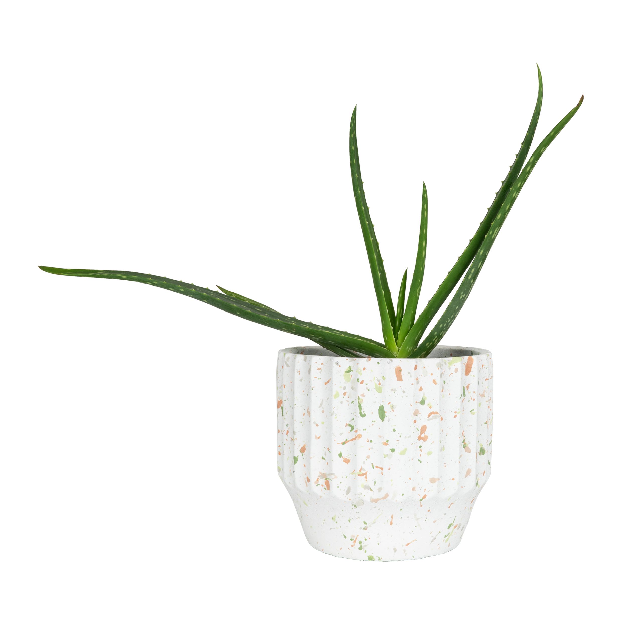 QUVIO betonnen bloempot met spikkels – 18 cm