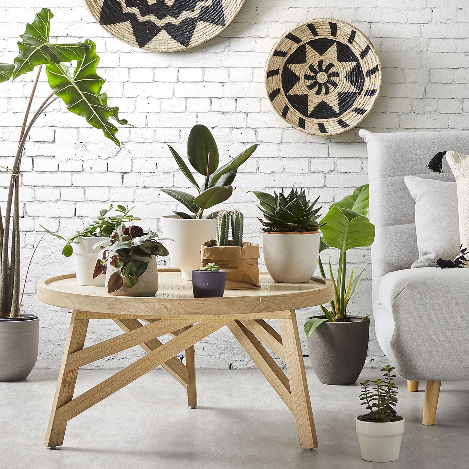 Ronde Japandi Salontafel Tenda 80 cm – Massief Mindihout, Naturel