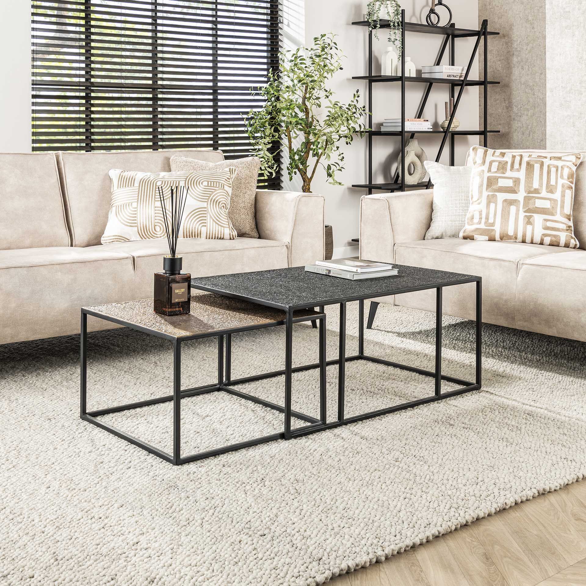 Salontafel Derrick Metaal – Elegante set van 2 in antiek brons & zwart