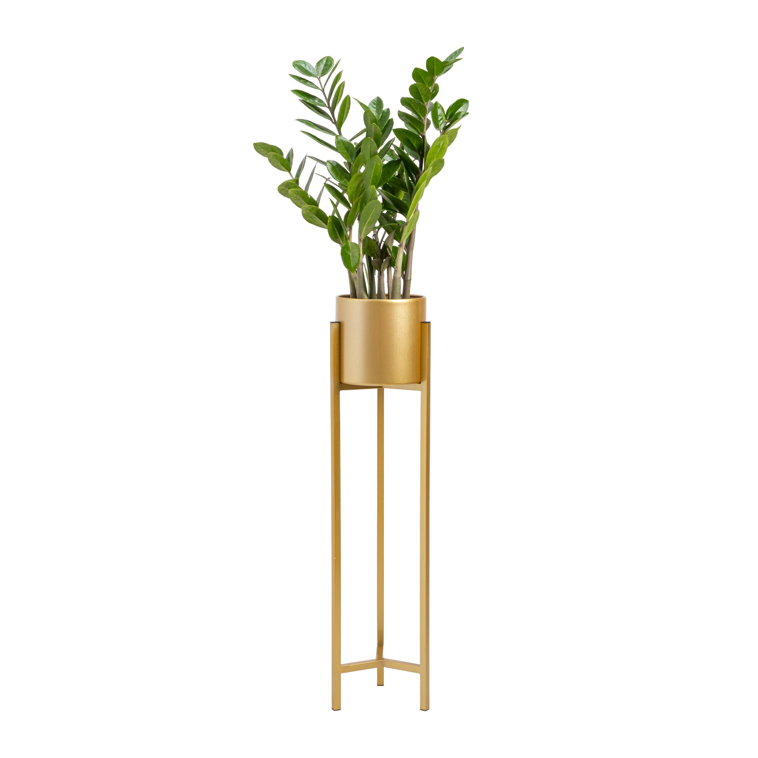 Stijlvolle gouden plantenstandaard QUVAI – Luxe & stevigheid in één