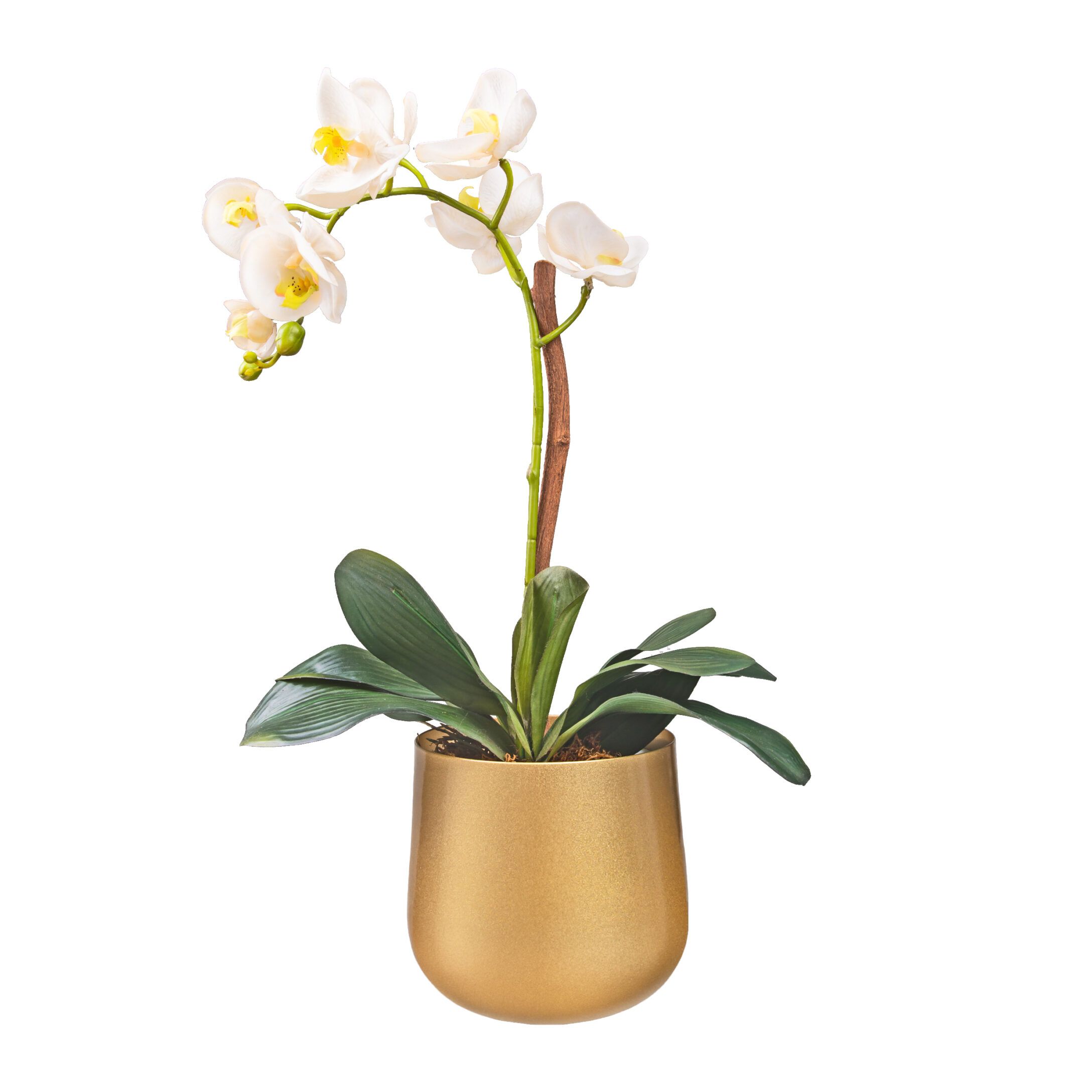 Stijlvolle gouden QUVIO bloempot – compacte metalen plantenpot voor binnen en buiten