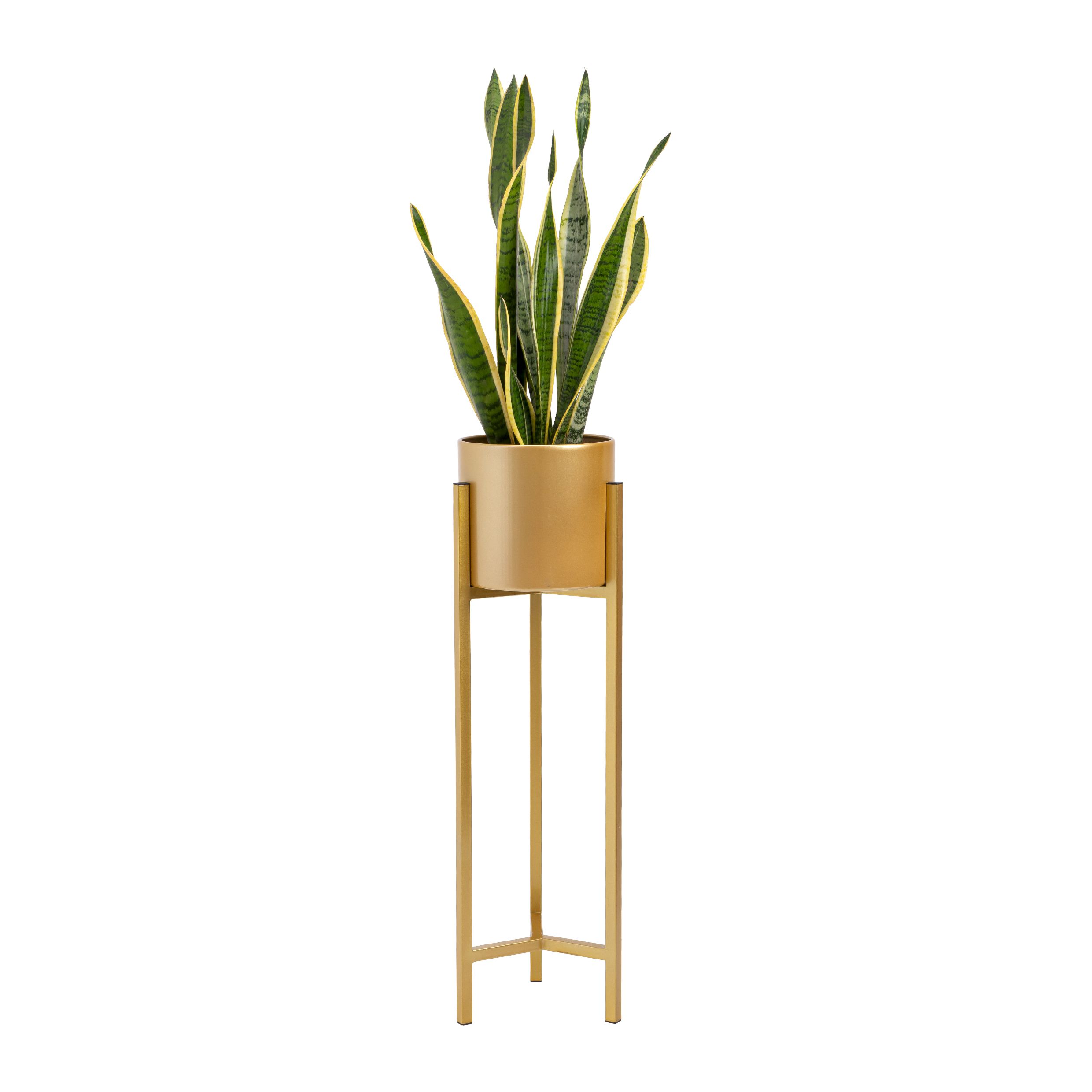 Stijlvolle gouden QUVIO plantenstandaard – compact design, 22 × 22 × 75 cm