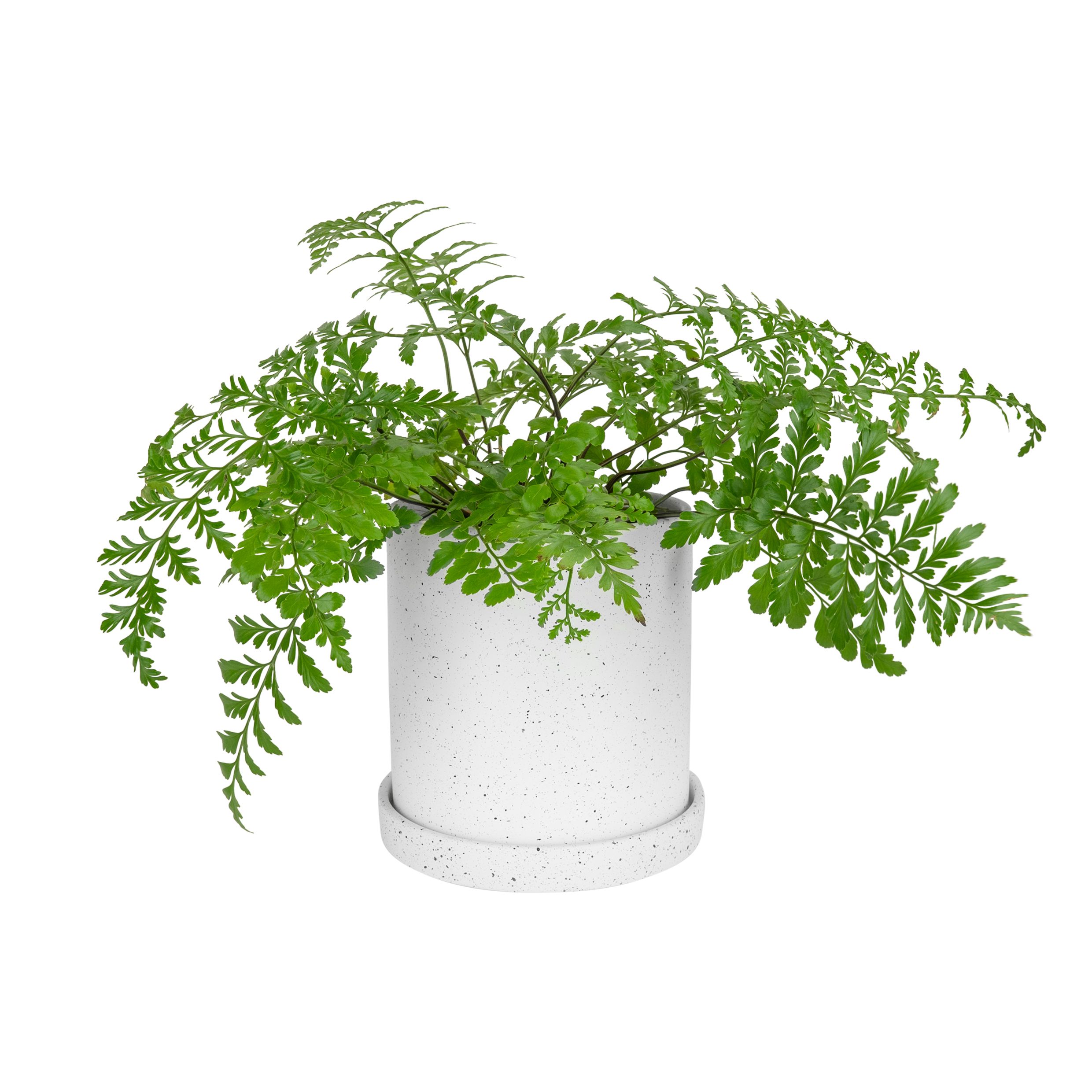 Stijlvolle witte keramische bloempot met zwarte spikkels – QUVIO