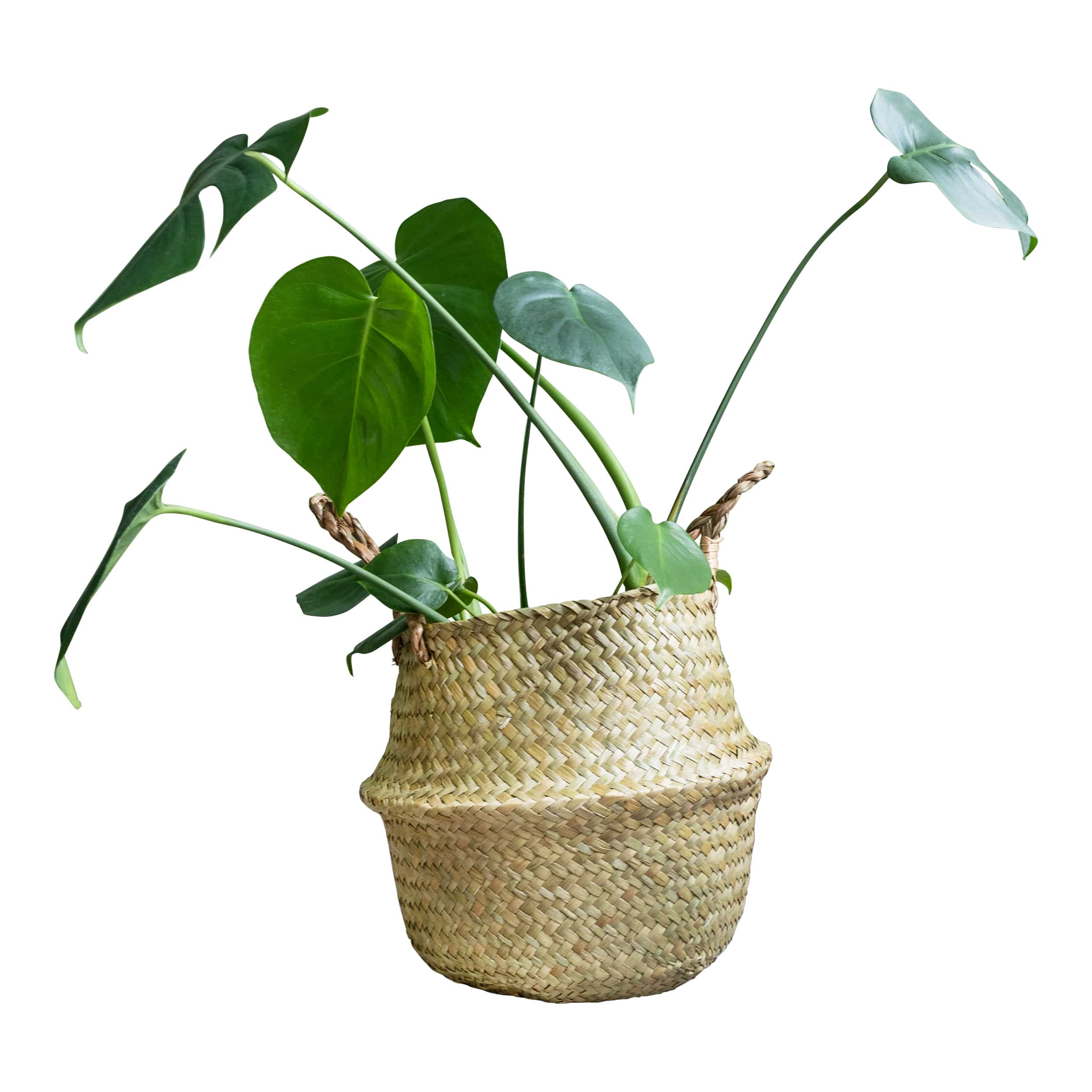 Stylische Vlas Opbergmand van QUVIO – Warm & Functioneel voor Elk Interieur