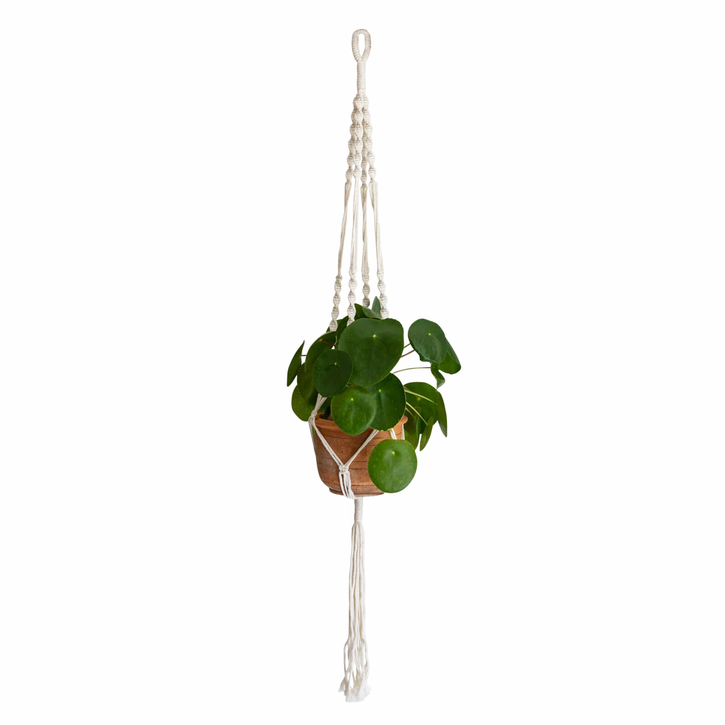 Witte macramé plantenhanger QUVIO – Hangpot voor bloempotten 12‑20 cm
