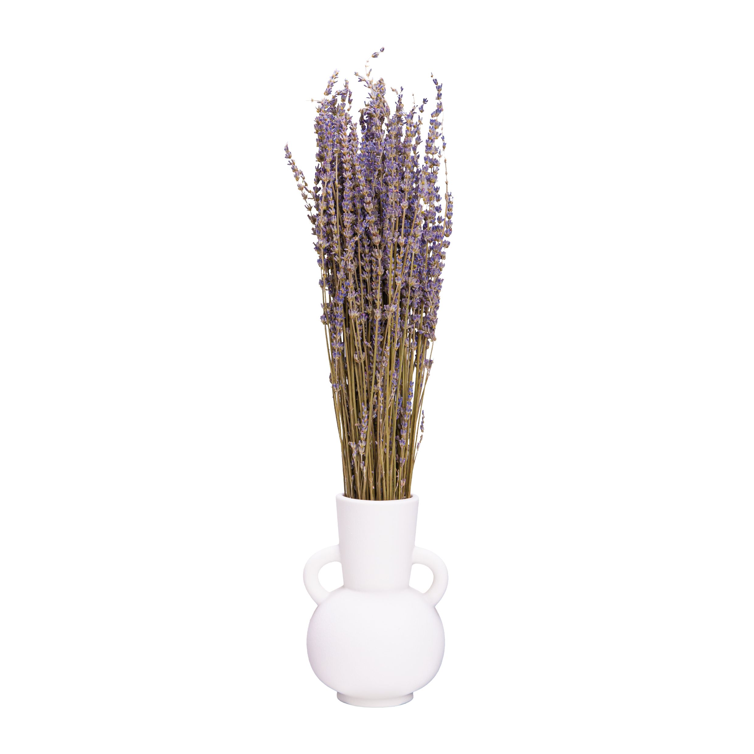 Witte QUVIO decoratieve keramische vaas met handvat – minimalistisch design voor elk interieur