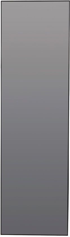 Zeneta Passpiegel – Slank en Modern Spiegel van Light & Living (170 × 50 cm, Smoke)
